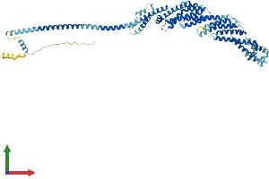 AlphaFold protein structure predicition of Mouse Recombinant Cog6 Protein, UniprotID Q8R3I3
