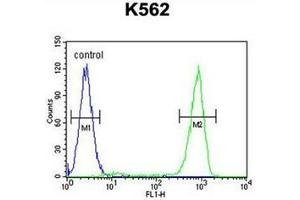 Flow cytometric analysis of K562 cells using OC90 Antibody (Center) Cat.