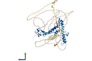 AlphaFold protein structure predicition of Mouse Recombinant Csrnp3 Protein, UniprotID P59055