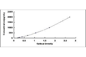 Typical standard curve