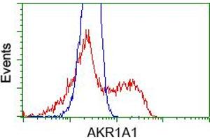 Image no. 7 for anti-Aldo-Keto Reductase Family 1, Member A1 (Aldehyde Reductase) (AKR1A1) antibody (ABIN1496539) (AKR1A1 anticorps)