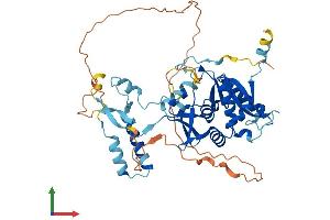 AlphaFold protein structure predicition of Mouse Recombinant Tsen2 Protein, UniprotID Q6P7W5