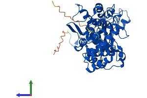 AlphaFold protein structure predicition of Mouse Recombinant Fntb Protein, UniprotID Q8K2I1