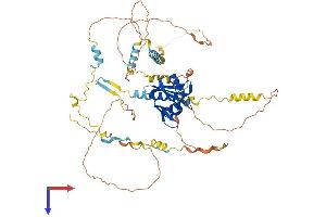 AlphaFold protein structure predicition of Mouse Recombinant Numbl Protein, UniprotID O08919