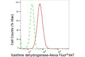Flow cytometric analysis of Xanthine dehydrogenase expression in HepG2 cells using Xanthine dehydrogenase antibody (ABIN7800881), 1:2,000). (Recombinant XDH anticorps)