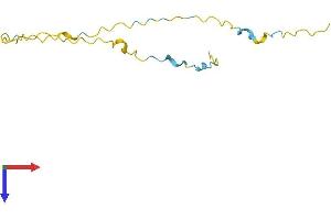 G Antigen 2D (GAGE2D) (AA 1-116) protein (His tag)