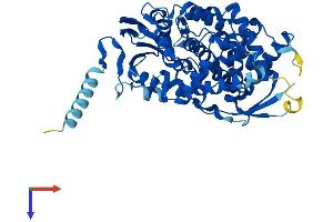 AlphaFold protein structure predicition of Mouse Recombinant Cyp7a1 Protein, UniprotID Q64505