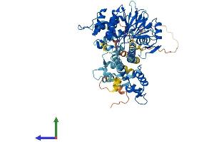 AlphaFold protein structure predicition of Mouse Recombinant Ppef1 Protein, UniprotID O35655