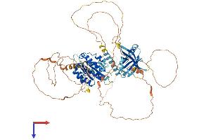 AlphaFold protein structure predicition of Mouse Recombinant Med25 Protein, UniprotID Q8VCB2