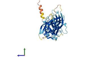 AlphaFold protein structure predicition of Human Recombinant ARR3 Protein, UniprotID P36575