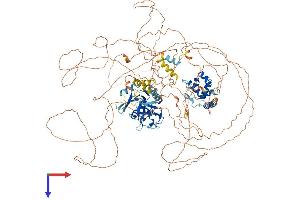 AlphaFold protein structure predicition of Human Recombinant ARID5B Protein, UniprotID Q14865