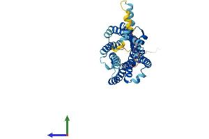 AlphaFold protein structure predicition of Mouse Recombinant Ccr1 Protein, UniprotID P51675