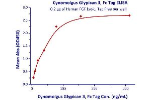 Measured by its binding ability in a functional ELISA.