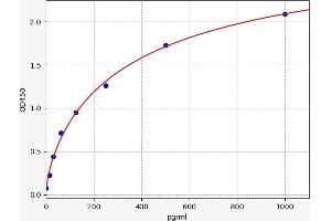 Interleukin 17F (IL17F) ELISA Kit