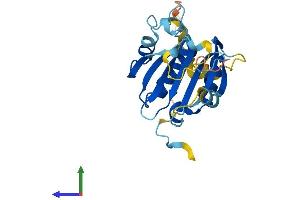 AlphaFold protein structure predicition of Human Recombinant EIF4E3 Protein, UniprotID Q8N5X7