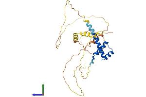 AlphaFold protein structure predicition of Mouse Recombinant Phox2b Protein, UniprotID O35690