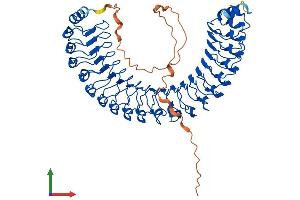 AlphaFold protein structure predicition of Human Recombinant SHOC2 Protein, UniprotID Q9UQ13
