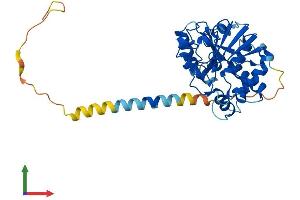 AlphaFold protein structure predicition of Human Recombinant ST6GALNAC6 Protein, UniprotID Q969X2
