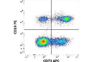 Flow cytometry multicolor surface staining pattern of human lymphocytes using anti-human CD73 (AD2) APC antibody (10 μL reagent / 100 μL of peripheral whole blood) and anti-human CD19 (LT19) PE antibody(20 μL reagent / 100 μL of peripheral whole blood).