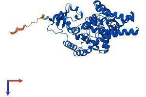AlphaFold protein structure predicition of Human Recombinant FADS1 Protein, UniprotID O60427