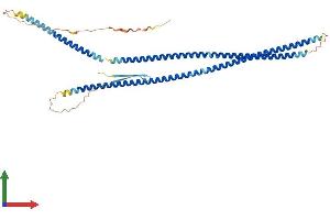 AlphaFold protein structure predicition of Human Recombinant GFAP Protein, UniprotID P14136