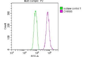 Overlay histogram showing Hela cells stained with ABIN7127462 (red line) at 1:50.