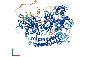 AlphaFold protein structure predicition of Mouse Recombinant Plcl1 Protein, UniprotID Q3USB7