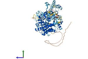 AlphaFold protein structure predicition of Human Recombinant RAD54L Protein, UniprotID Q92698