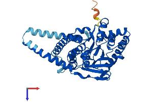 AlphaFold protein structure predicition of Mouse Recombinant Agpat4 Protein, UniprotID Q8K4X7
