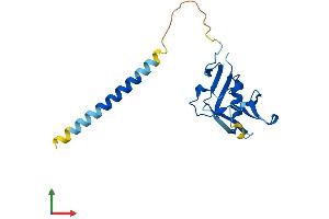 AlphaFold protein structure predicition of Mouse Recombinant Klrd1 Protein, UniprotID O54707
