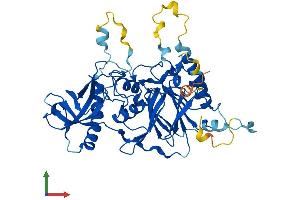 AlphaFold protein structure predicition of Human Recombinant POLD2 Protein, UniprotID P49005