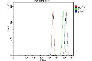 Flow Cytometry analysis of Neuro2a cells using anti-Survivin antibody (ABIN3043511).