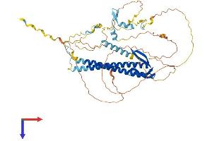AlphaFold protein structure predicition of Mouse Recombinant Uri1 Protein, UniprotID Q3TLD5