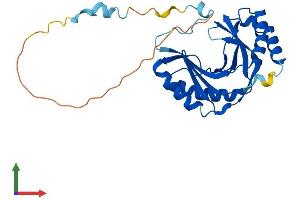 AlphaFold protein structure predicition of Human Recombinant USB1 Protein, UniprotID Q9BQ65