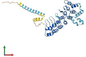 AlphaFold protein structure predicition of Human Recombinant ASB5 Protein, UniprotID Q8WWX0