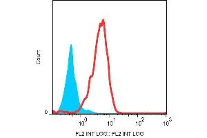 Intracellular staining of drebrin in NALM-6 cells using anti-drebrin (DBN-N-03) PE.