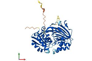 AlphaFold protein structure predicition of Mouse Recombinant Sphk1 Protein, UniprotID Q8CI15