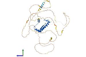 AlphaFold protein structure predicition of Mouse Recombinant Mef2c Protein, UniprotID Q8CFN5