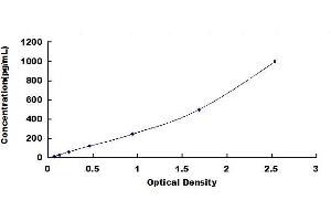 Typical standard curve (Cardiotrophin 1 Kit ELISA)