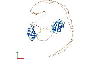 AlphaFold protein structure predicition of Human Recombinant MSI1 Protein, UniprotID O43347