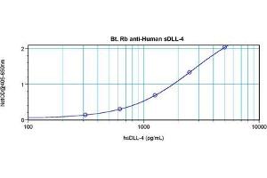 Enzyme Immunoassay (EIA) image for anti-delta-Like 4 (DLL4) antibody (Biotin) (ABIN568942) (DLL4 anticorps  (Biotin))
