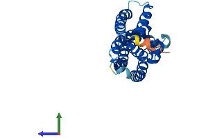 AlphaFold protein structure predicition of Mouse Recombinant Tsn Protein, UniprotID Q62348
