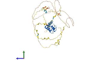 AlphaFold protein structure predicition of Human Recombinant ZNF207 Protein, UniprotID O43670