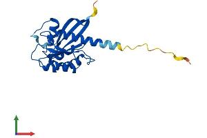 AlphaFold protein structure predicition of Mouse Recombinant Rab9b Protein, UniprotID Q8BHH2