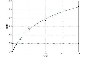 Vitamin D Receptor (VDR) ELISA Kit