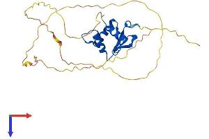 AlphaFold protein structure predicition of Mouse Recombinant Spib Protein, UniprotID O35906