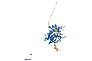 AlphaFold protein structure predicition of Human Recombinant RAB26 Protein, UniprotID Q9ULW5