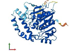 AlphaFold protein structure predicition of Mouse Recombinant Ldah Protein, UniprotID Q8BVA5