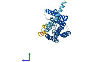 AlphaFold protein structure predicition of Human Recombinant OR7D2 Protein, UniprotID Q96RA2
