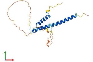 AlphaFold protein structure predicition of Mouse Recombinant Mid1ip1 Protein, UniprotID Q9CQ20